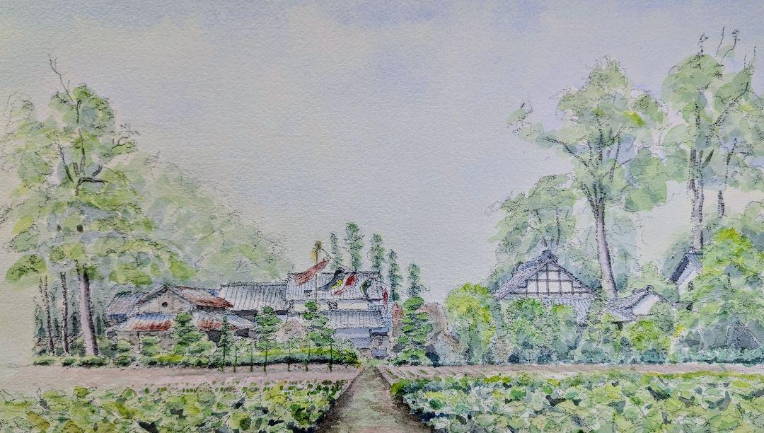 水彩画 ジャンボ鯉のぼり F4 絵画 - 絵画