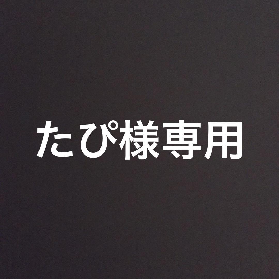 カンナ様❣️4月お取り置き専用ページ PV4B-ANF | パワーバンド取付対応露出用取付自在フタ高耐候性