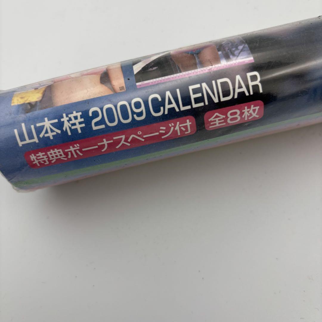 山本梓 2009年 カレンダー CL-80 （神戸：ファルコンの散歩メモ