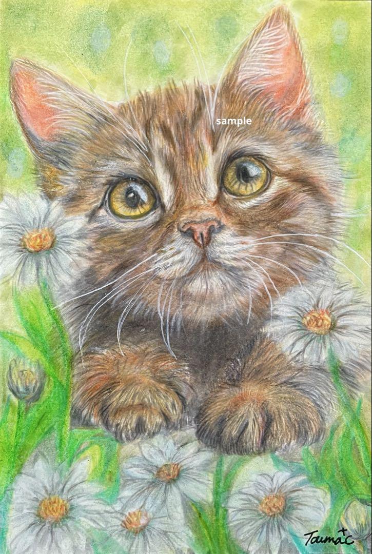 色鉛筆画　見つめる　猫　原画　手描きイラスト 猫 ネコ ねこ 手描き 原画 パステル画 色鉛筆画の通販 by ウラン