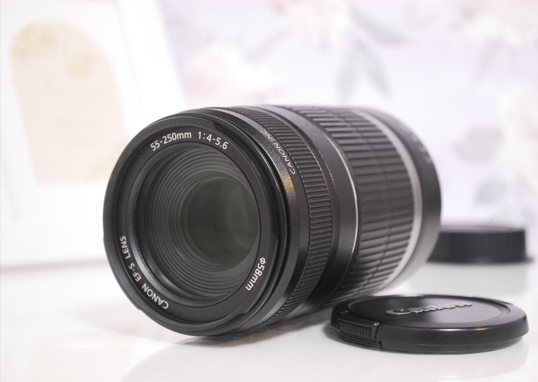 便利な手ブレ補正付き望遠レンズ☆キャノン EF-S 55-250mm IS♡ Canon EF-S 55-250mm IS⭐️望遠レンズ❣️手ぶれ補正 人気