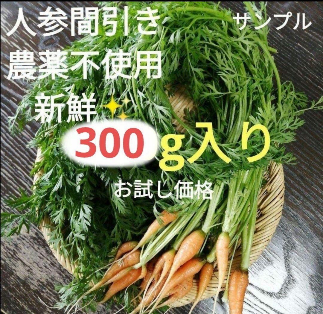 農薬不使用！野菜✨人参間引き 人参の葉っぱ 人参葉 うさぎ