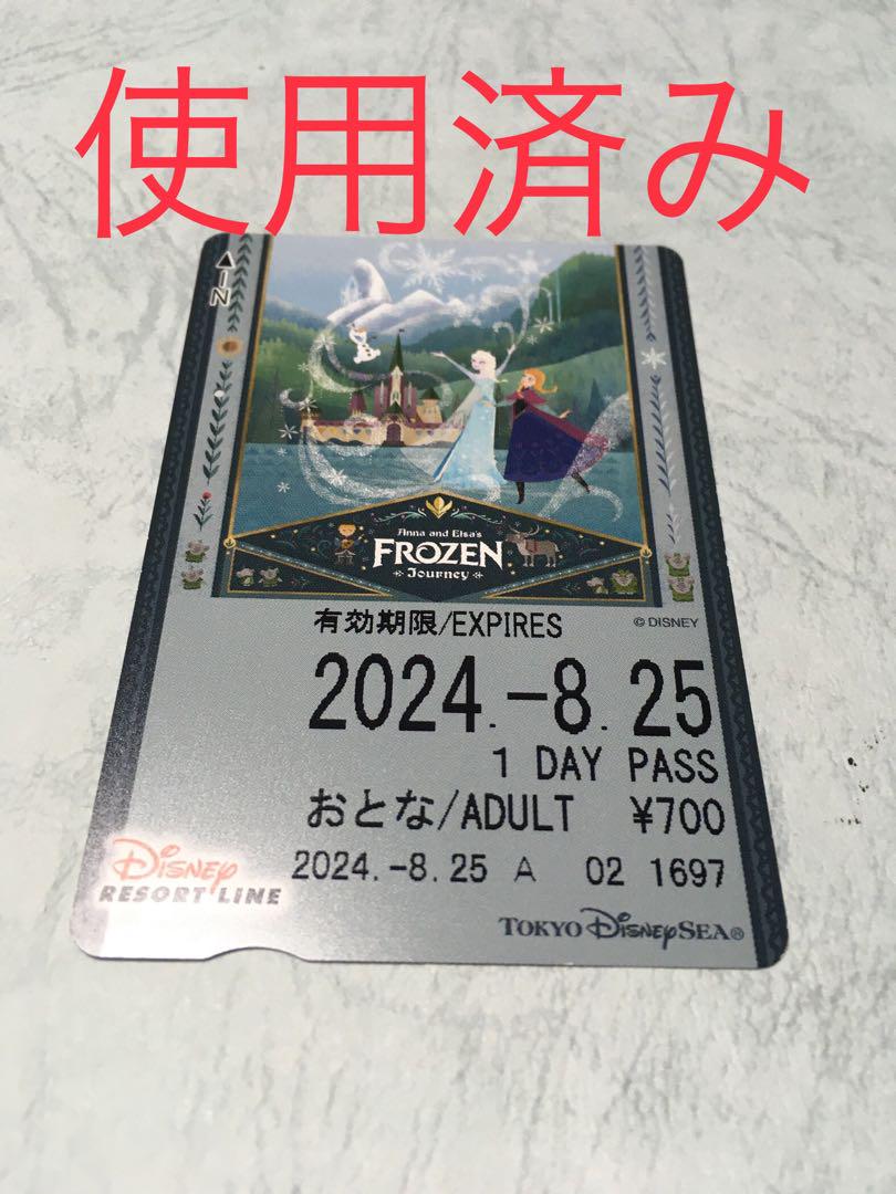 30周年【使用済】2013年度 ディズニーリゾートライン 切符 パス リゾラ 種類豊富な品揃え 使用済】①特殊デザイン ディズニーリゾート