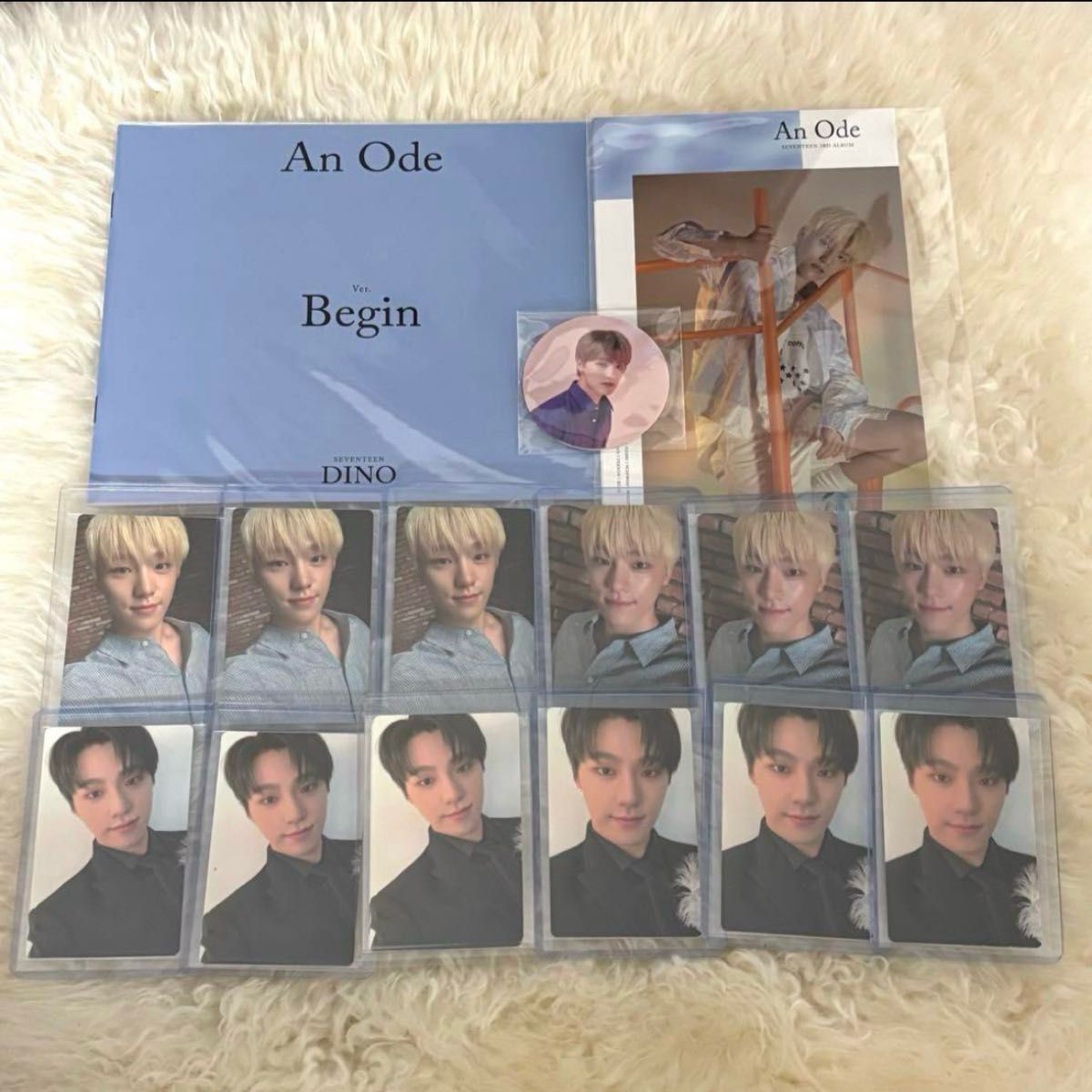 SEVENTEEN セブチ An ode Anode アンオデ Begin DINO ディノ