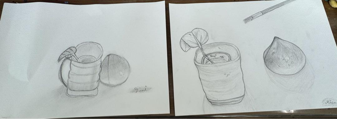 女子高生が描いた鉛筆画 静物画 果物と植物 女子高生が描いた鉛筆画 静物画 果物と植物(果物を描く ②
