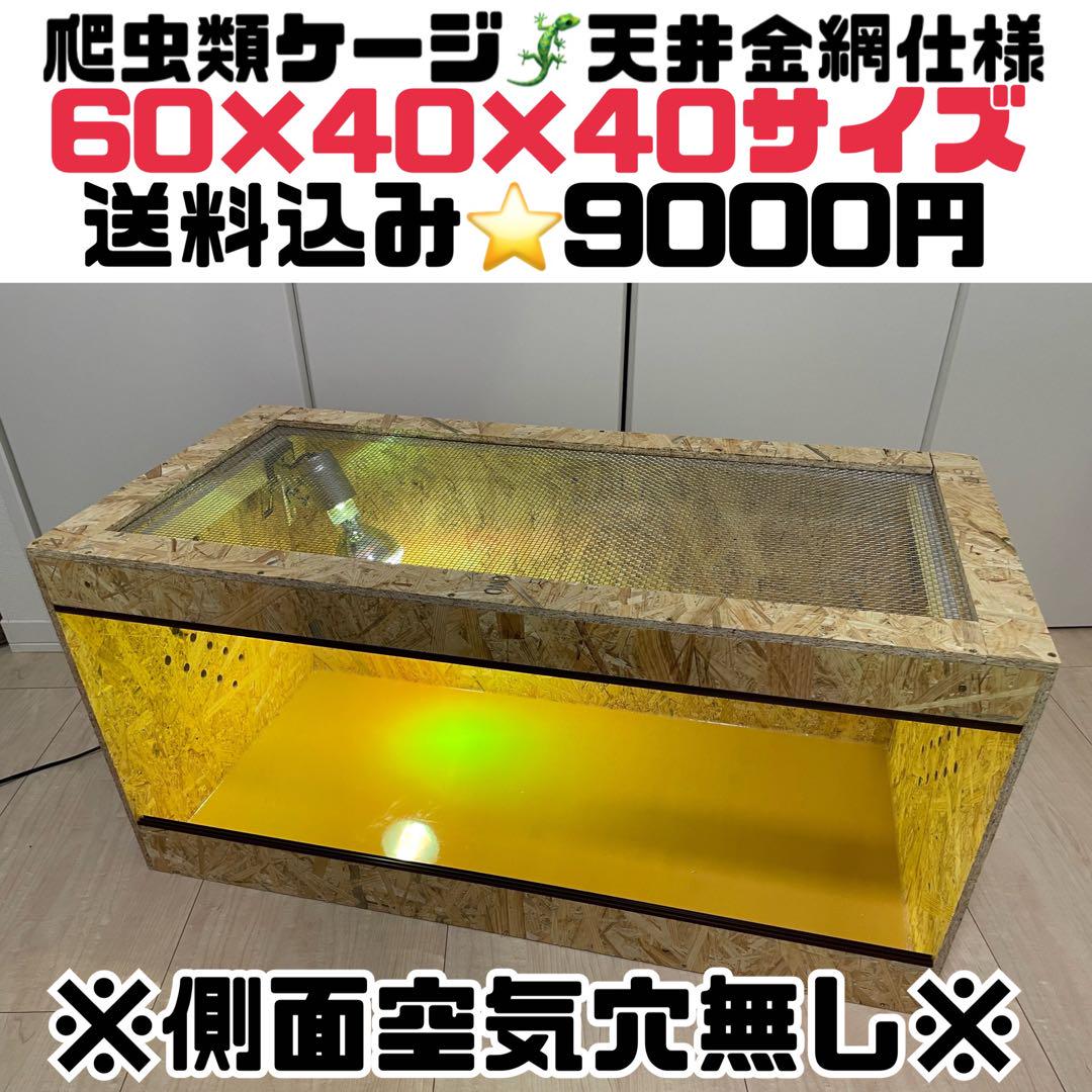 爬虫類ケージ　爬虫類木製ケージ　60×40×40  天井金網仕様 爬虫類ケージ 爬虫類木製ケージ 60×40×40 天井金網仕様 （爬虫類