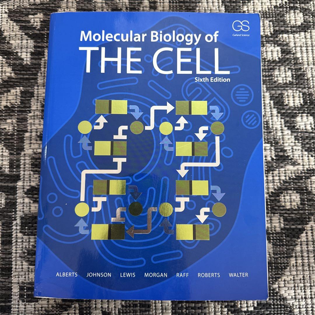 Molecular Biology of THE CELL 第6版 Amazon | Molecular Biology of the Cell | Alberts, Bruce