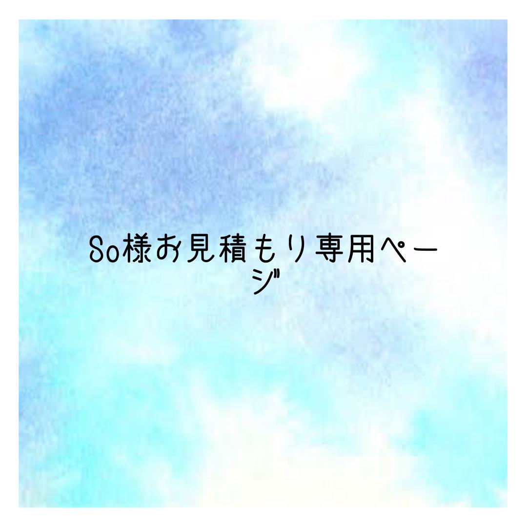 n様お見積もりページ （いくら様 専用ページ①(お見積もり