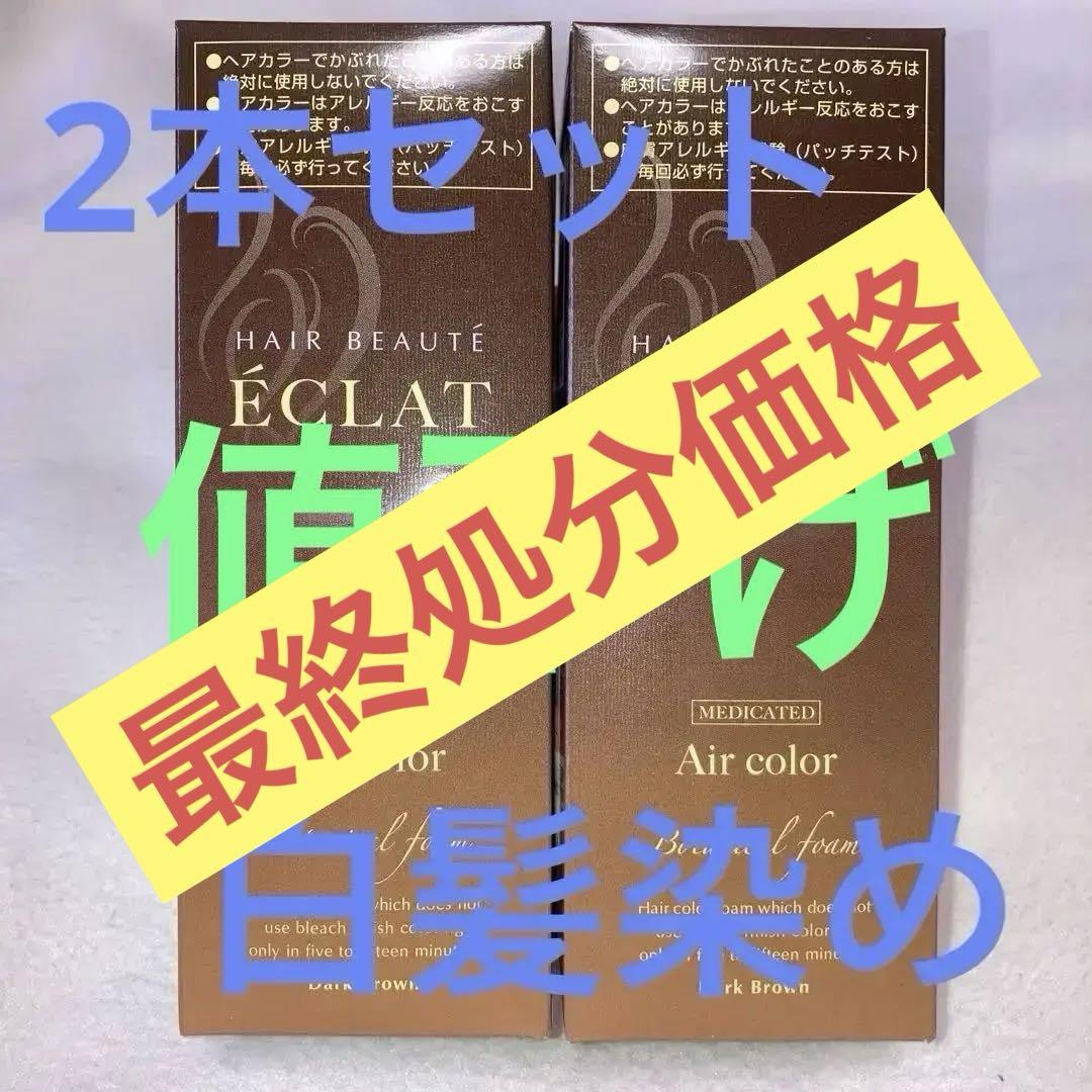 ÉCLAT ヘアカラー フォーム ダークブラウン2本売り新品未使用
