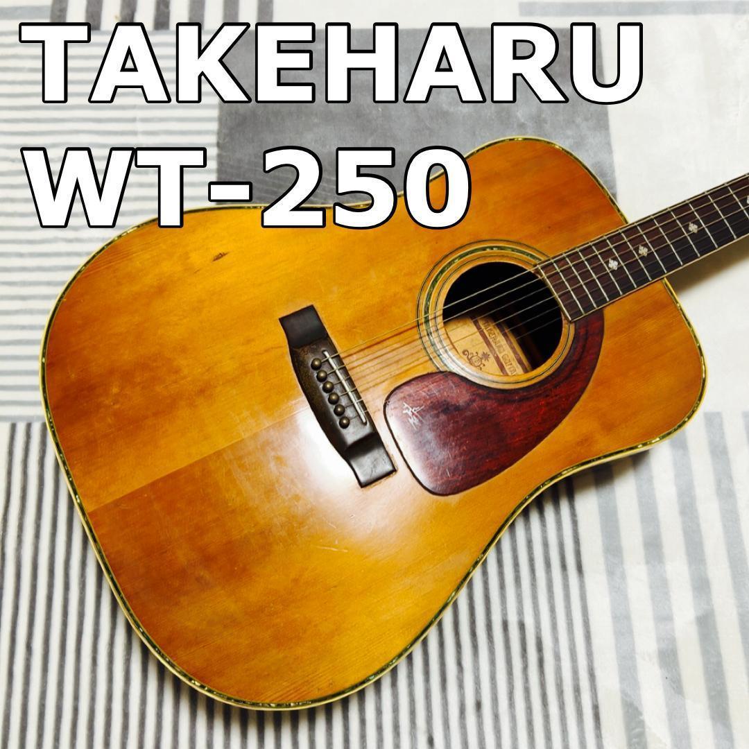 タケハル TAKEHARU WT-250 アコースティックギター （美品 美響