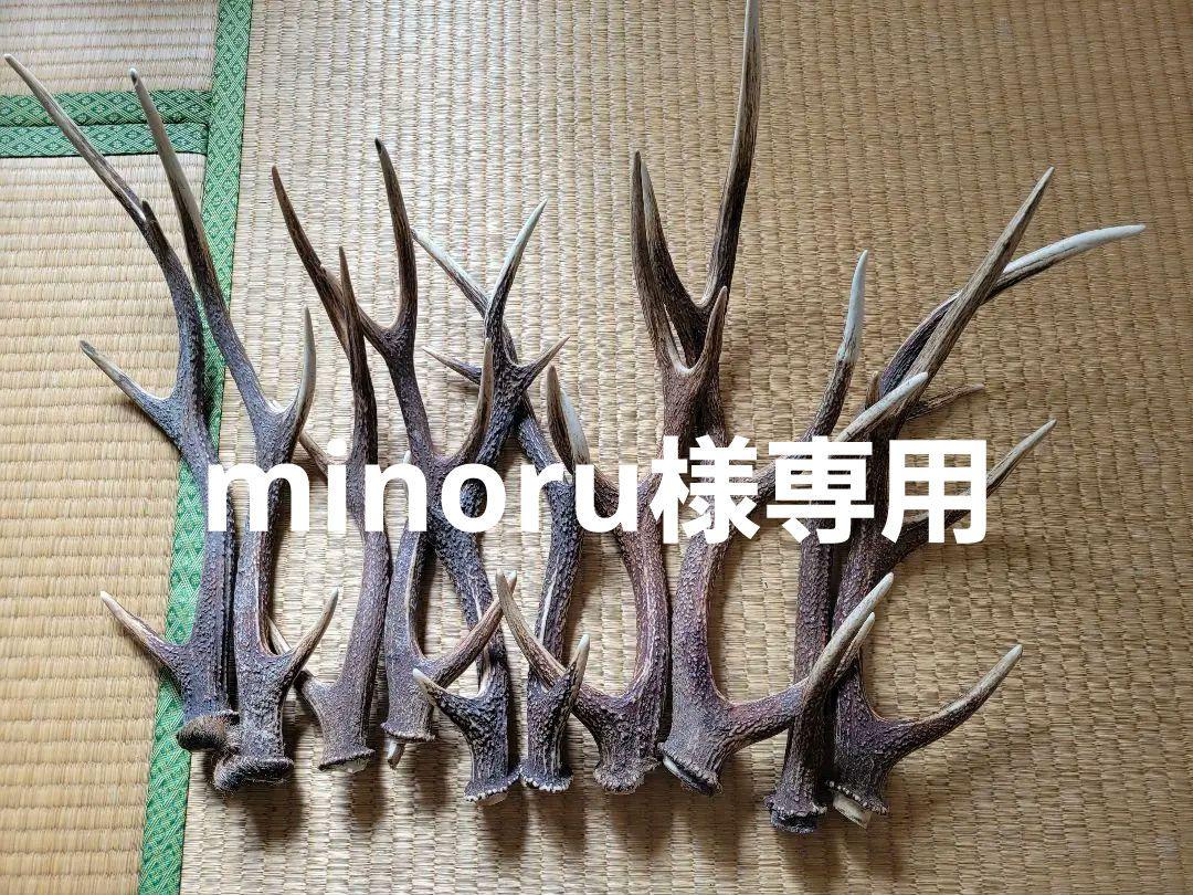 鹿の角 8本セット 値下げしました三段鹿の角