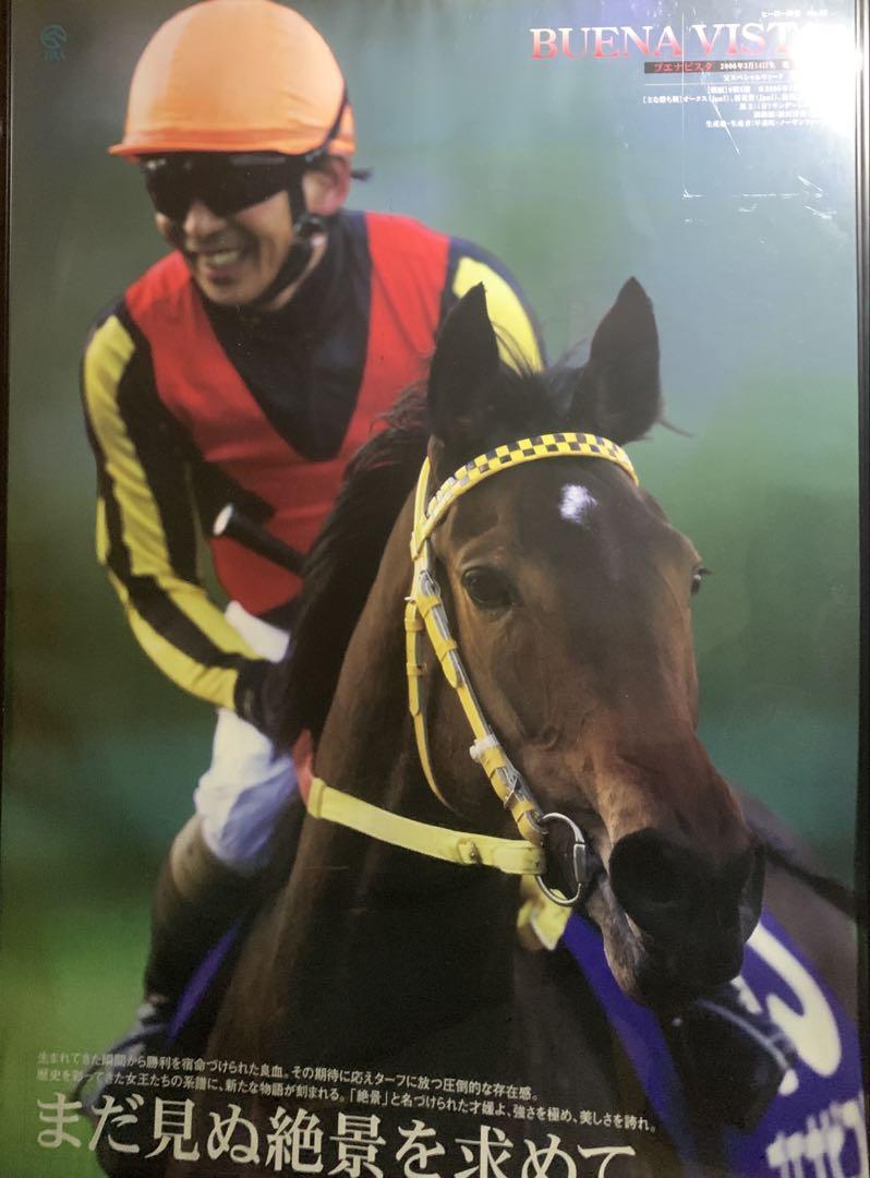 会員様限定 お買い得商品 ヒーロー列伝 ブエナビスタ JRA No.69 2009 希少品 ポスター ポスター