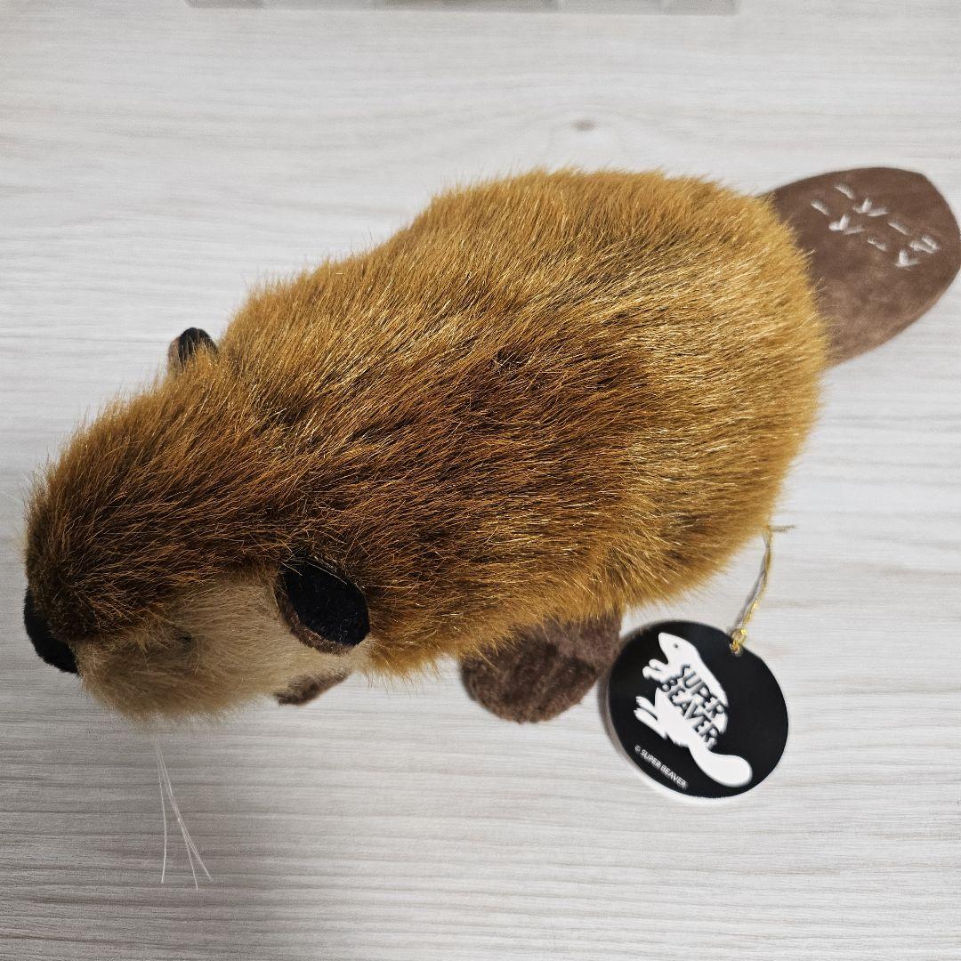 SUPER BEAVER スーパービーバーちゃんぬいぐるみ （Amazon.co.jp