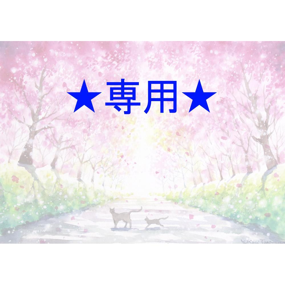 まめたろう☆さま専用（原画）紅い夢【水彩画】ほか 7点おまとめ