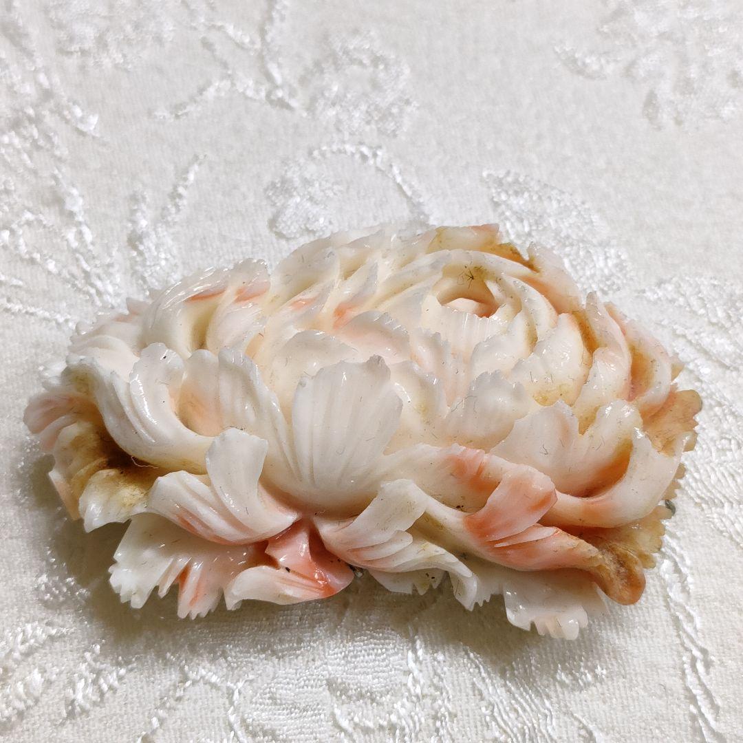 珊瑚　天然珊瑚　帯留め　コーラル花彫刻シルバーブローチ重约46g sa-1640-2.jpg