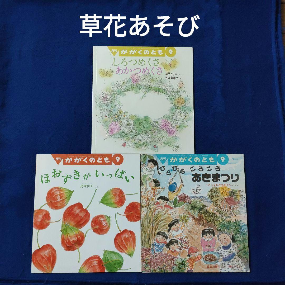 かがくのとも 草花あそび あきまつり ほおずき しろつめくさ