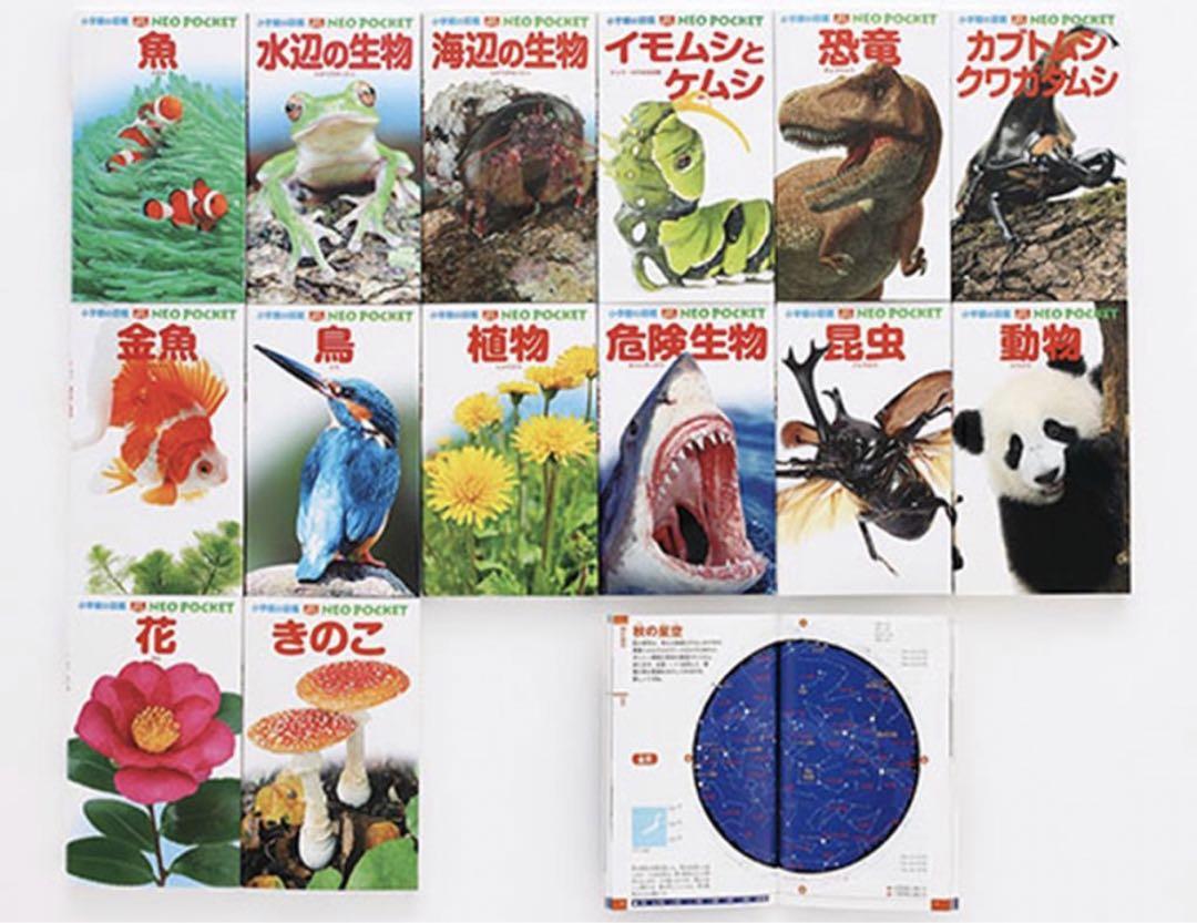 お気に入りの ポケット版 学研の図鑑 セット 15冊 ネオポケット