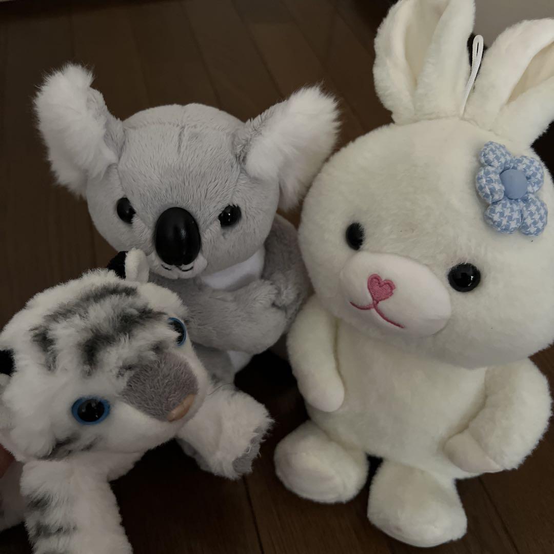 円山動物園オフィシャルショップ on X: 