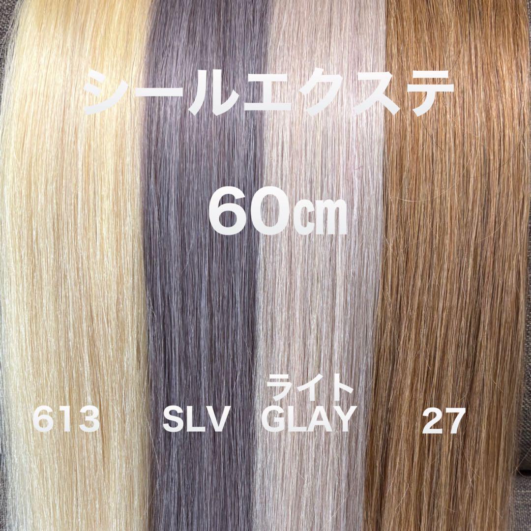 シールエクステ ロングストレート　カラーエクステ メッシュ入り エクステ ウィッグ カラーエクステ ロング