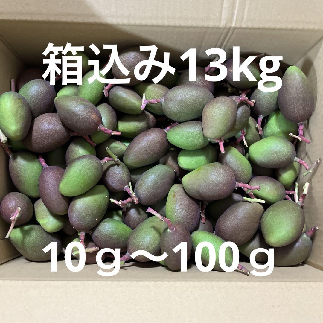 摘果マンゴー・グリーンマンゴー約8kg 沖縄県産 摘果マンゴー 青マンゴー グリーンマンゴー10kg - メルカリ