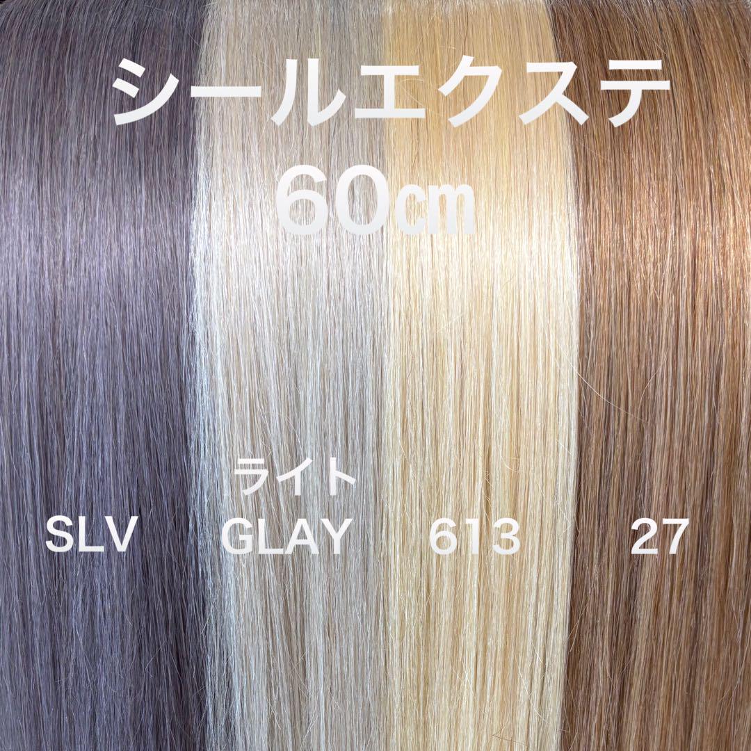 シールエクステ ロングストレート カラーメッシュ （シール