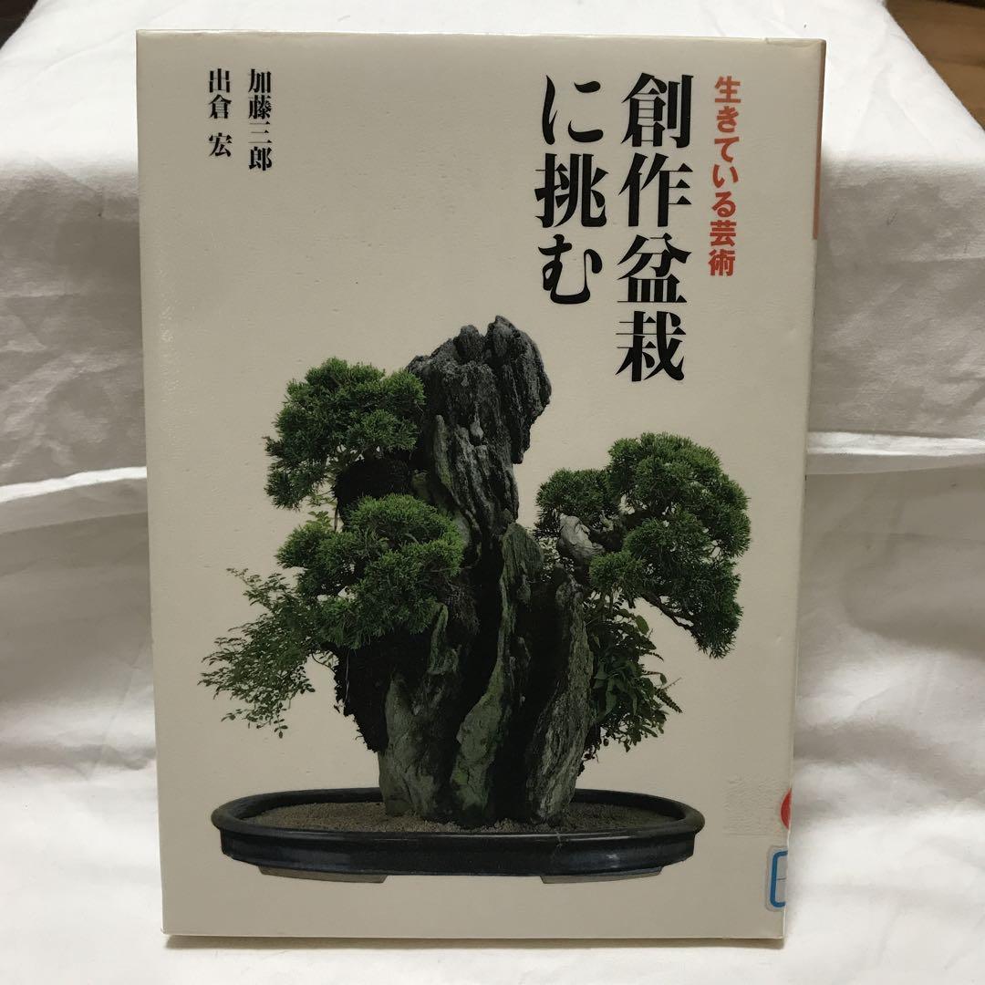 創作盆栽に挑む : 生きている芸術 f1c2bb9a731d90beda1f9e2d38ca67