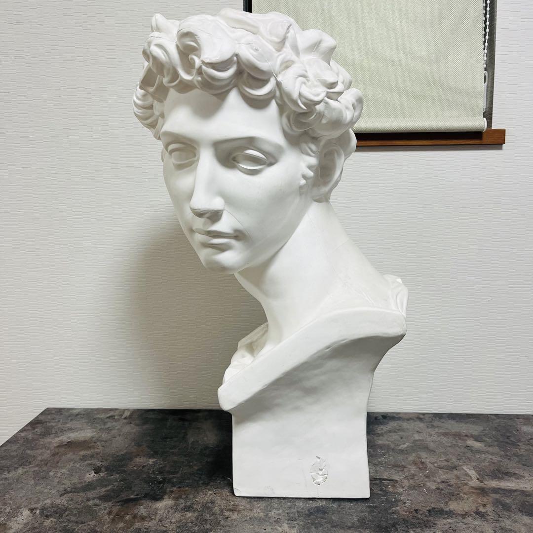 石膏像 メディチ 胸像 ダビデ像 古代ギリシャ ミケランジェロ