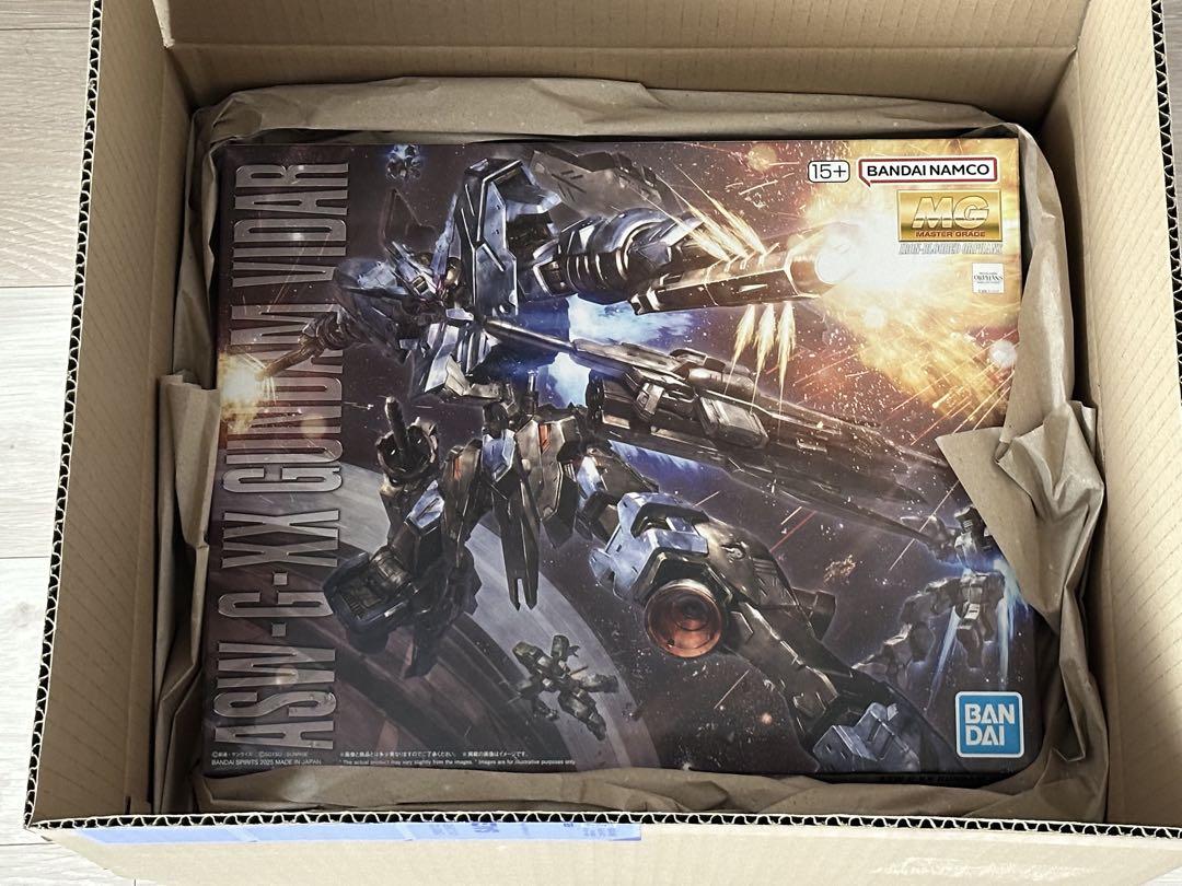 MG ガンダムヴィダール ASW-G-XX GUNDAM VIDAR 1/100（ASW-G-XX