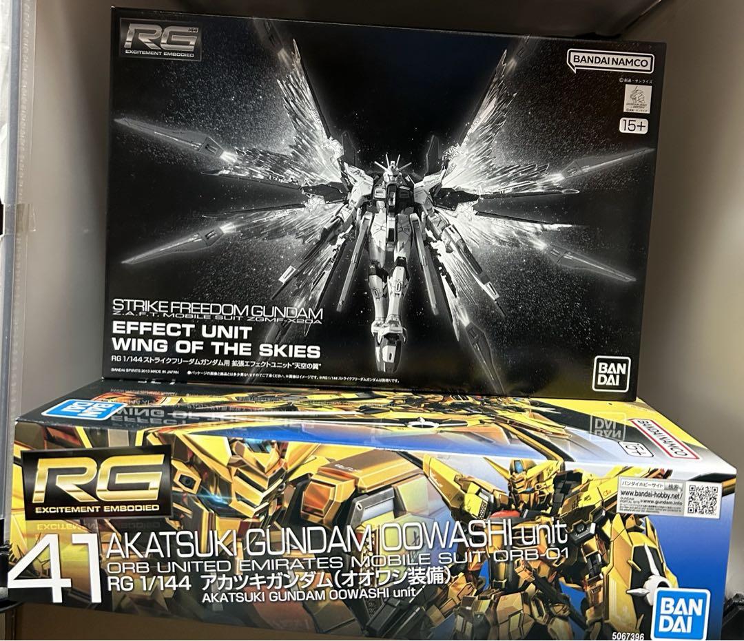 rg アカツキガンダム 光の翼 ストライクフリーダム（METAL BUILD