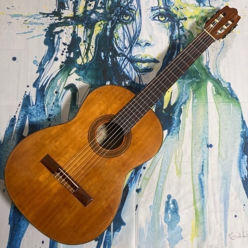 全音 龍虎 第801号 クラシックギター 日本製（Troubadour TG-005