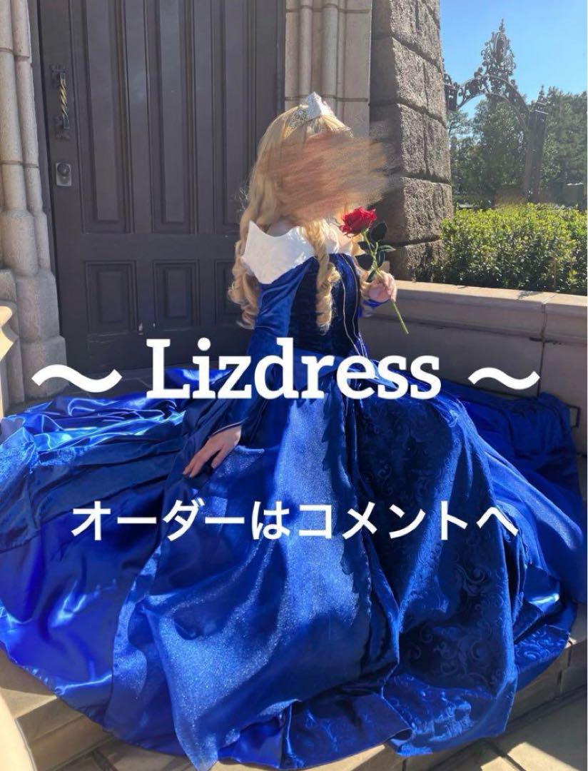 Dハロ オーロラ姫 ベル ドレス 仮装 プリンセス（ディズニー