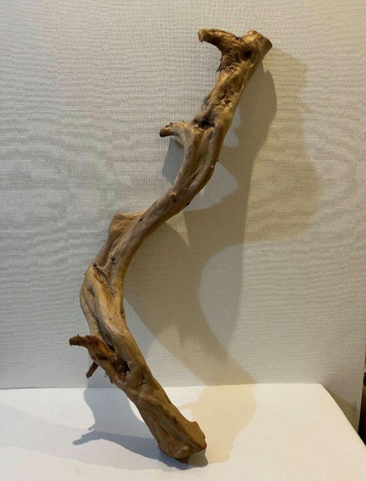 流木　止まり木　約82センチ 流木 止まり木 約82センチ （【流木の止まり木】高さ約55cm！鳥