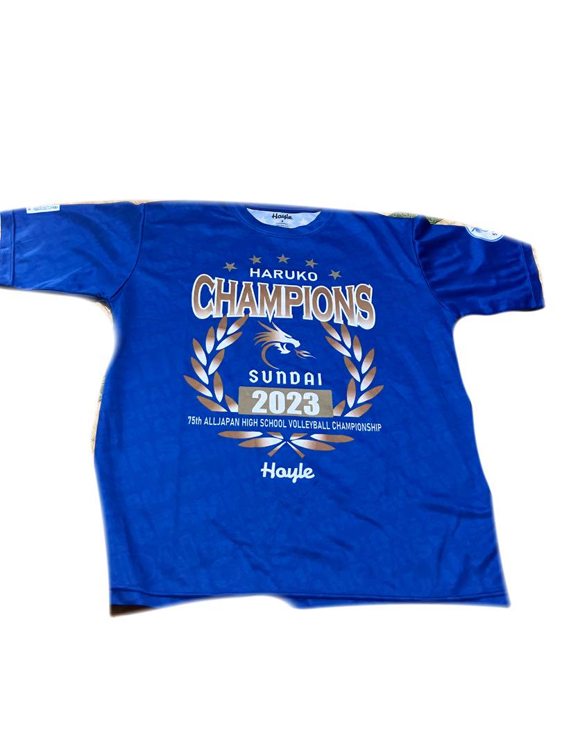 駿台学園バレーボールTシャツ練習着 駿台学園バレーボール部練習着 - メルカリ