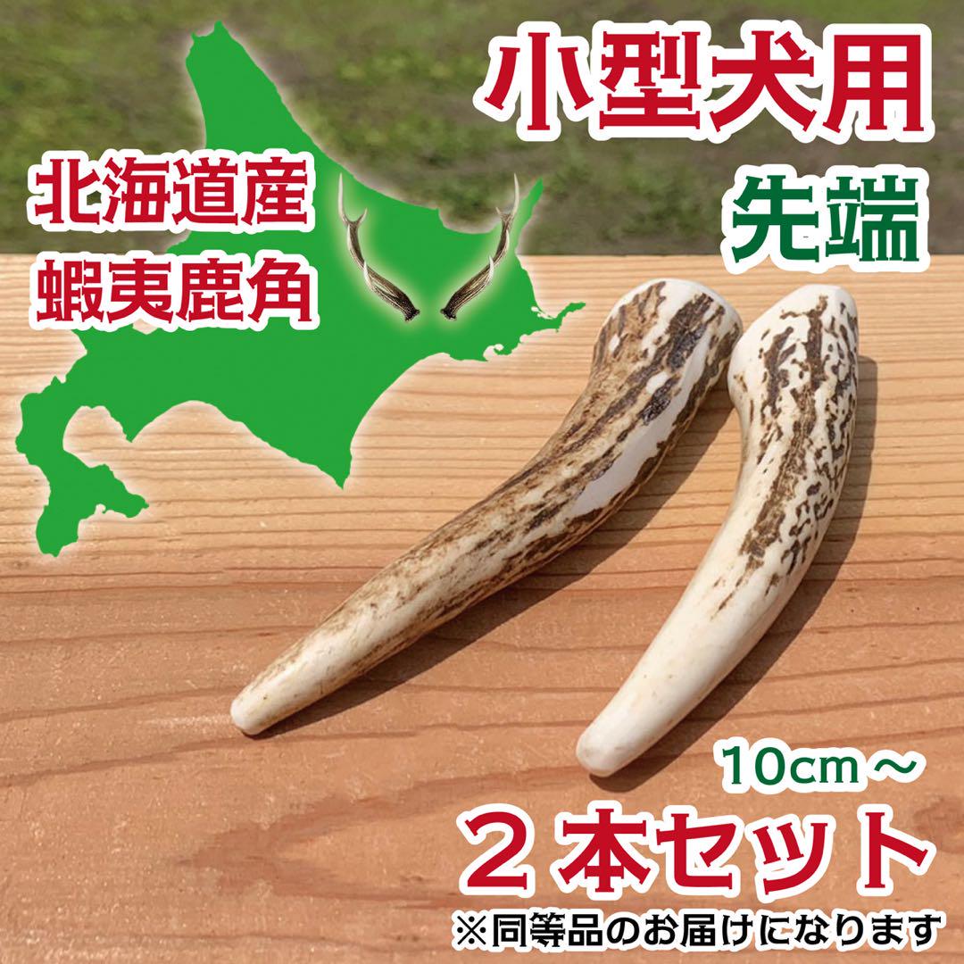 小型犬用 蝦夷鹿の角 2本セット 北海道産 犬 おもちゃ シカ ツノ