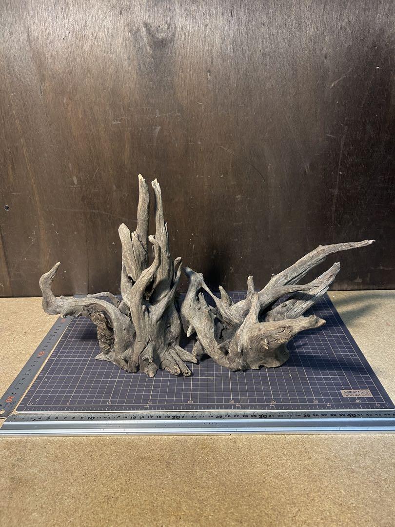 水槽で1-2年使用　流木 6a0120a672b538970b022ad38a0885