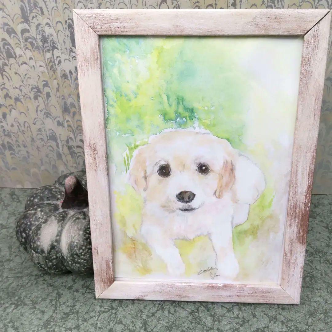 ドローイング　パステル画　犬　イヌ　ゴールデンレトリバー　絵画　色鉛筆画　原画 ドローイング パステル画 犬 イヌ ゴールデンレトリバー 絵画