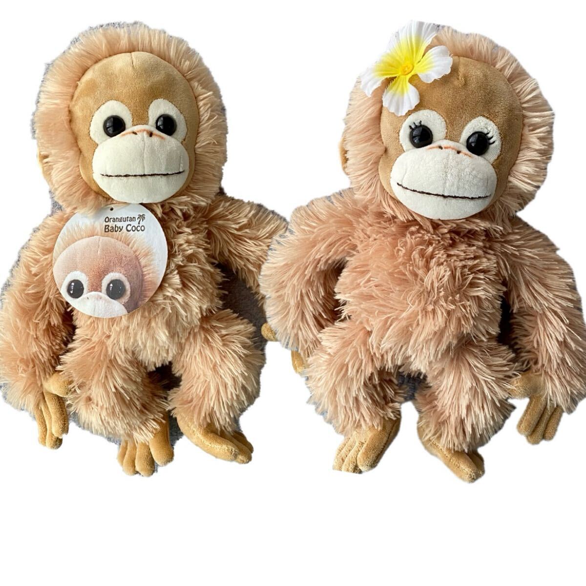 ベイビーココ》 ココ＆ナツ 2体セットぬいぐるみ オラウータンS