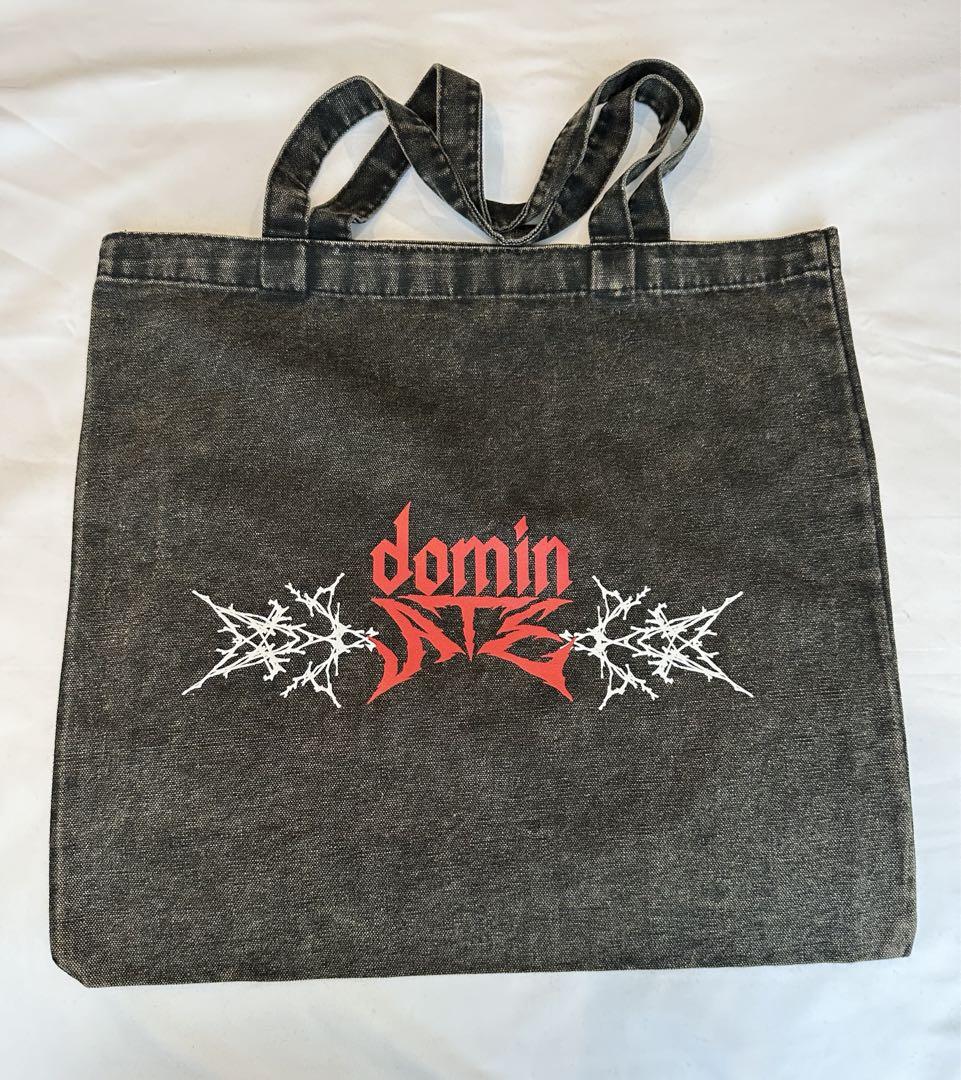 straykids スキズ トートバッグ デニム シンガポール dominATE