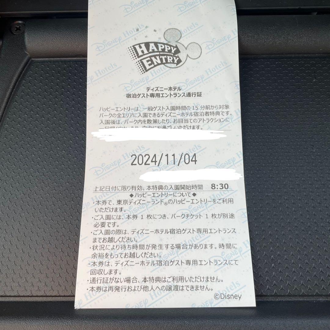 11/4ディズニーランド ハッピーエントリー1枚（初心者向け