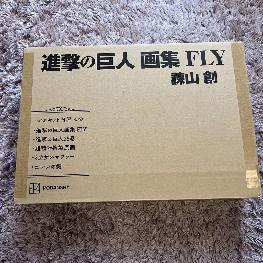 進撃の巨人 画集 FLY  フルセット 欠品なし 進撃の巨人 画集 FLY 欠品なし ※ほぼ新品（中身確認のみ）