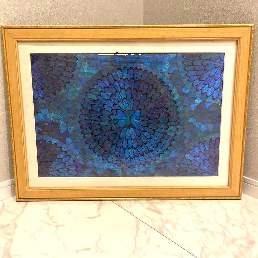 モルフォ蝶 蝶画 羽細工 羽絵 蝶羽アート インテリア 芸術