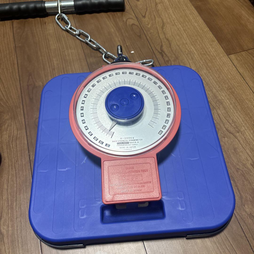 BACK MUSCLE DYNAMOMETER 背筋力測定器 BACK MUSCLE DYNAMOMETER 背筋力測定器（デジタル背筋力計