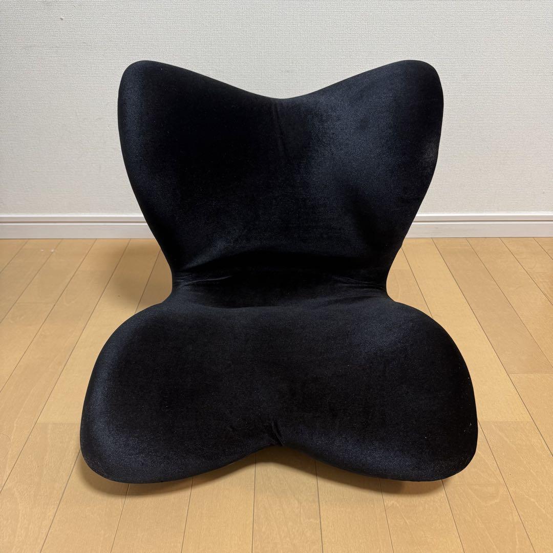 美品✨Style PREMIUM デラックス スタイルプレミアム パープル 美品】スタイル プレミアムデラックス(Style PREMIUM DX)黒