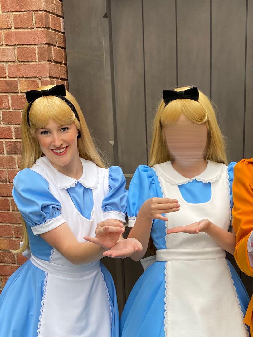 不思議の国のアリス アリス コスプレ ウィッグ Dハロ 不思議の国のアリス コスプレ Dハロ ウィッグ