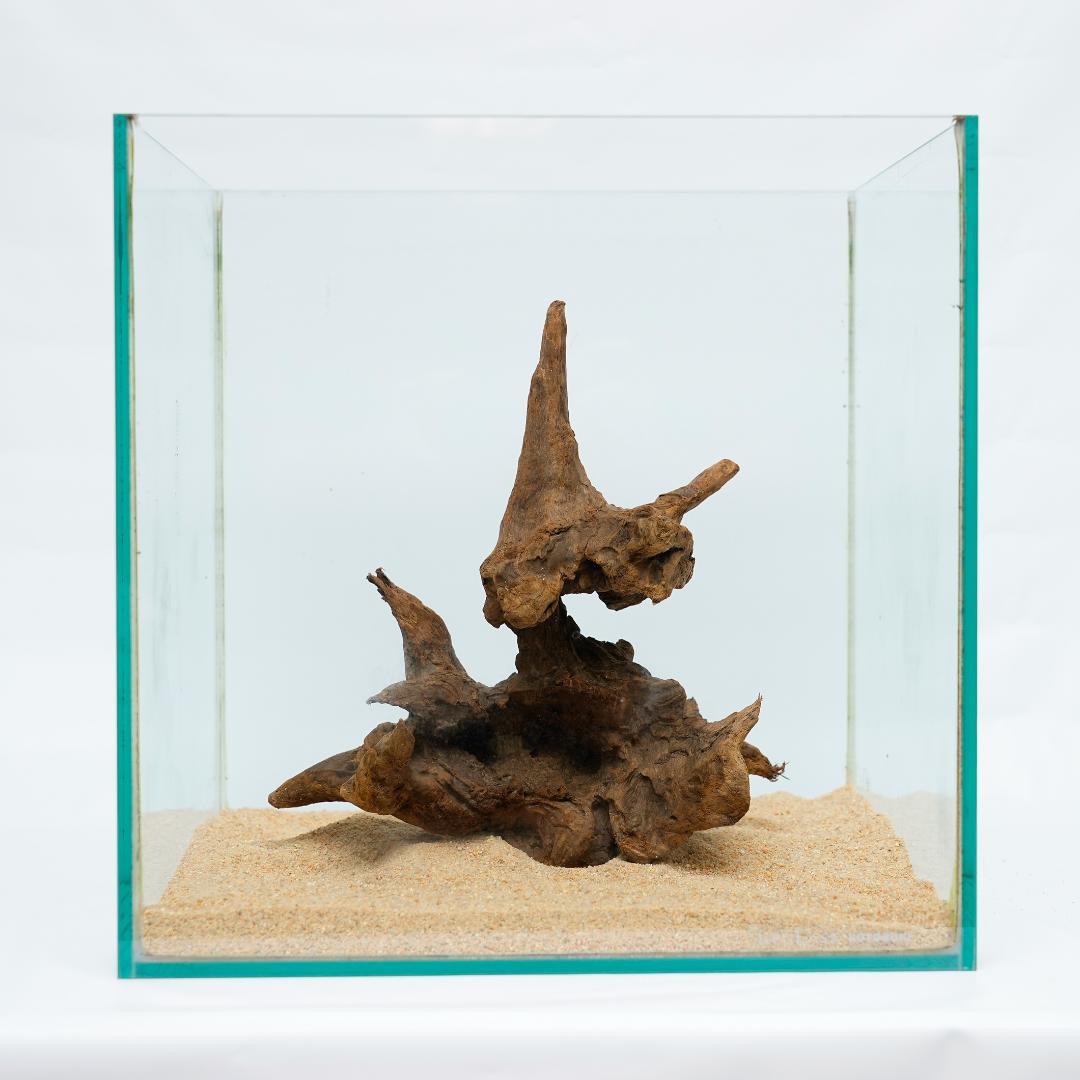神形状！天然流木 30cm水槽用 アクアリウム レイアウト