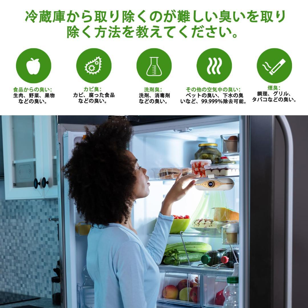 充電式臭いと細菌を除去 冷蔵庫用消臭剤 O3テクノロジー（大型
