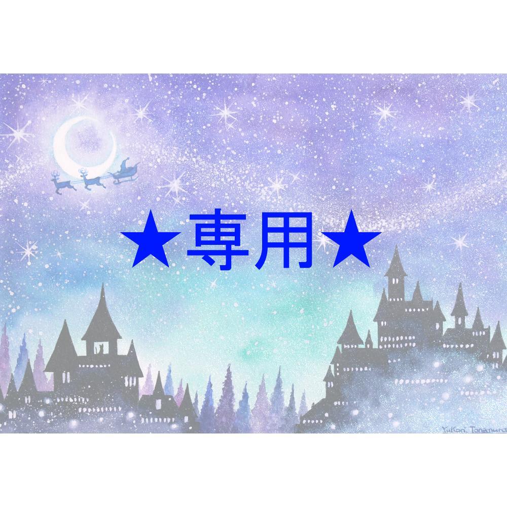 momorin絵画 momorinさま専用（原画）星空に願いをささやく時【水彩画】絵画