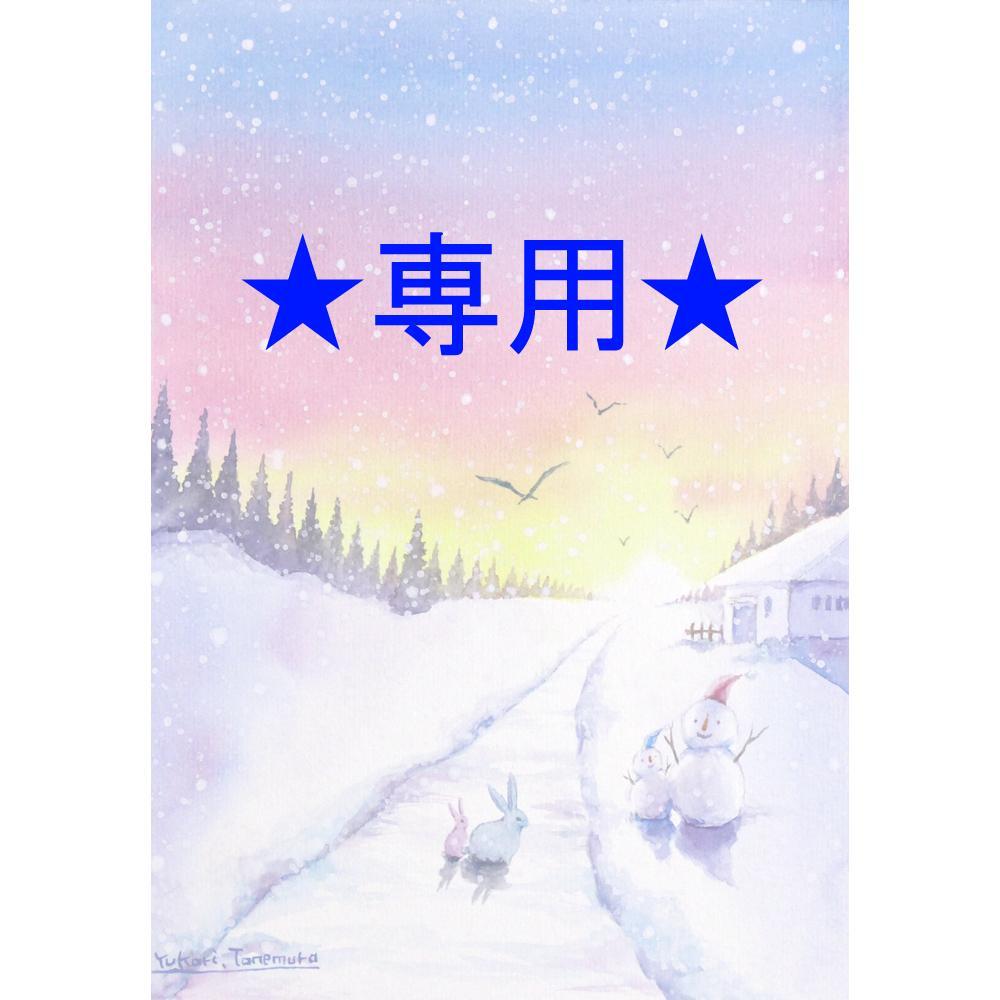 cherryさま専用（原画）晴雪の花【A5サイズ／水彩画】絵画 （NEW