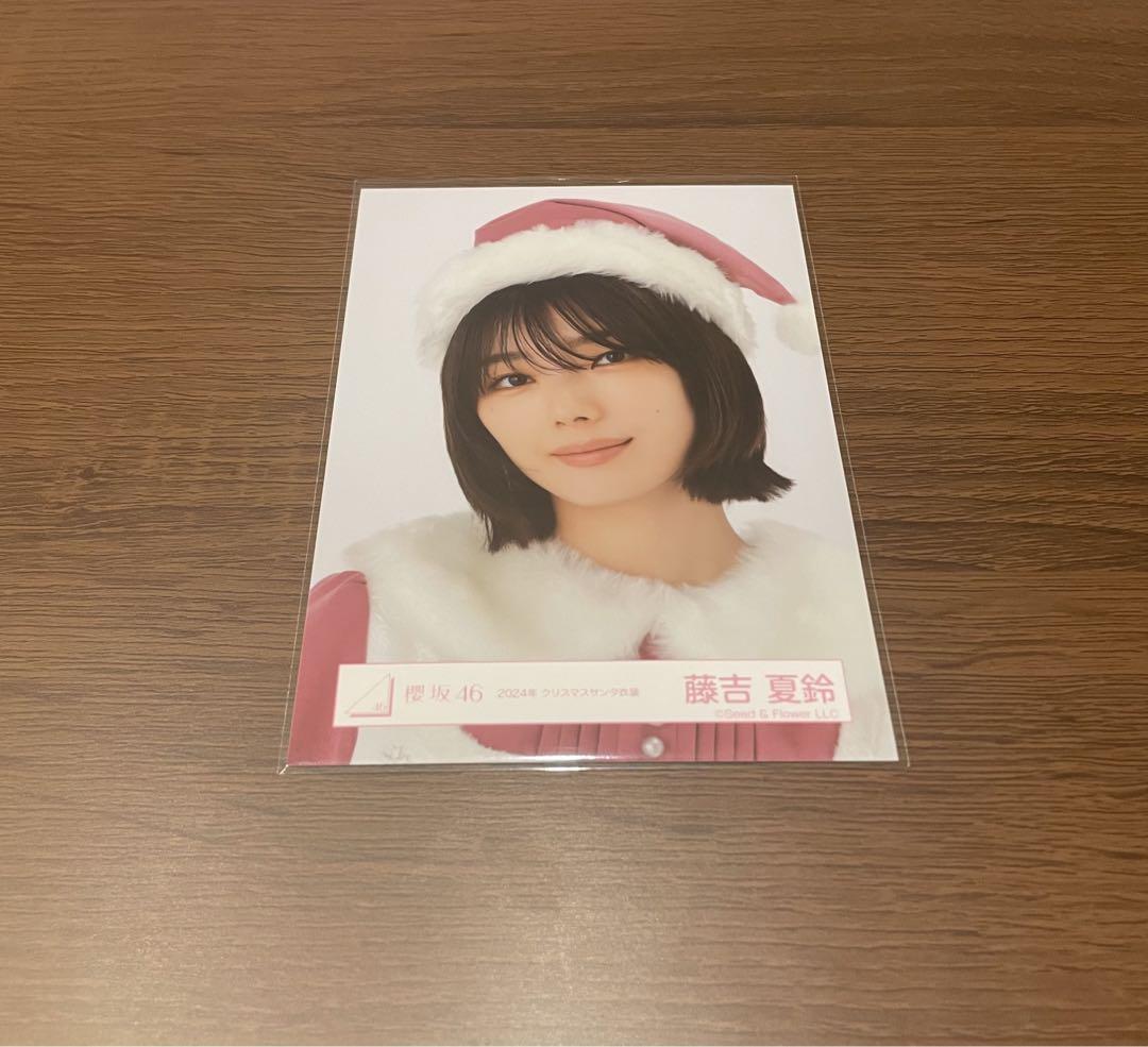 櫻坂46 的野美青 2024年 クリスマスサンタ衣装 直筆サイン ヨリ