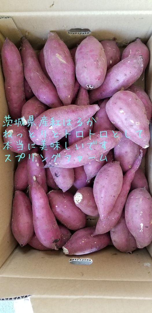 新物初物10キロ以上茨城県紅はるかS&2Sメイン少し訳あり